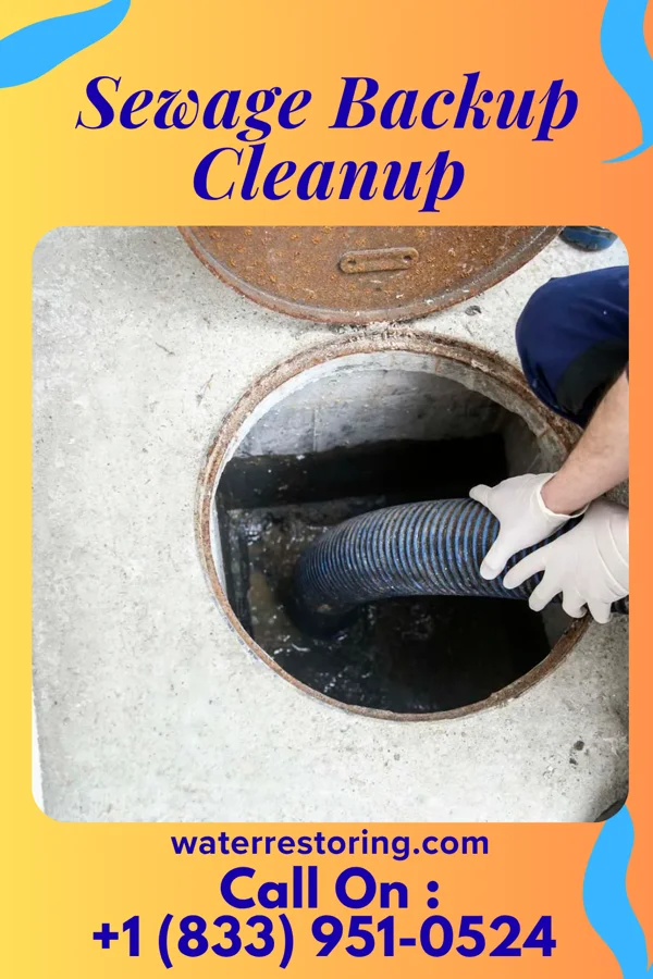 Sewage Backup Cleanup in Keene, NH